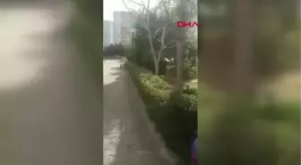 İSTANBUL-KÜÇÜKÇEKMECE'DE BİR SİTEYE MOTORLA ALINMAYAN MOTOKURYELER, PROTESTO EYLEMİ YAPTI