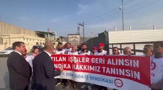 Murat Bakan'dan Sigara Fabrikası Önünde Direnen İşçilere Destek