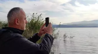 Türkiye'de sadece üçüncü kez ortaya çıkan paha biçilemez kuş, heyecan yarattı: Önce ne olduğunu anlamadık