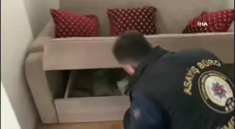 Ümraniye'de torbacının evindeki bazadan 7 kilo bonzai çıktı
