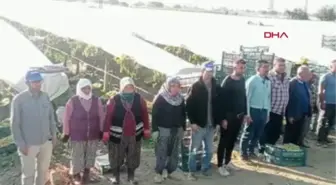 ÜZÜM KESİMİNİ BIRAKIP ATA'YA SAYGI DURUŞUNDA BULUNDULAR