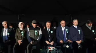 Cumhurbaşkanı Yardımcısı Oktay, 'Milli Ağaçlandırma Günü' etkinliğinde konuştu Açıklaması