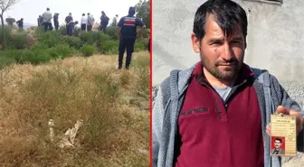 Dedektif gibi iz sürdü, kayıp babasının öldürüldükten sonra yakıldığını öğrendi