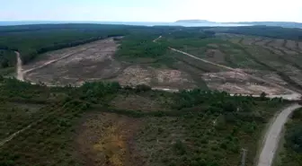 İleri: 'Sinop NGS konusunda planlama ve çalışma devam ediyor'