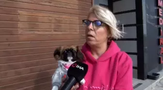 (İSTANBUL - ÖZEL)Büyükçekmece'de pencereden düşen köpeği böyle yakaladı