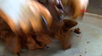 Etlisinde de var etsizinde de! Milyonların vazgeçilmezi çiğ köftede salmonella ve bağırsak kökenli bakteri bulundu