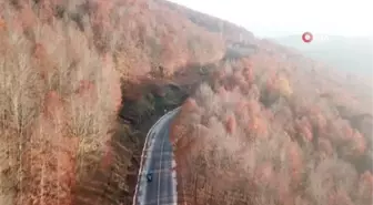 Perşembe Yaylası'nda eşsiz sonbahar manzarası