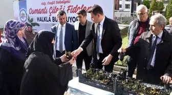 Kdz. Ereğli'de 3 Bin Osmanlı Çileği Fidesi Halka Dağıtıldı