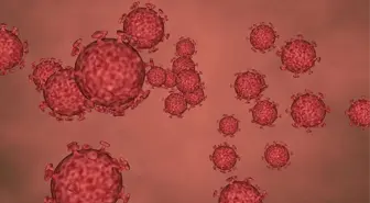 Yeni RSV virüsü nedir? RSV virüsü nedir? RSV ölümcül mü? RSV salgın mı var?