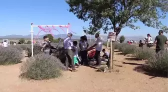 Isparta'yı 10 ayda 950 bin kişi ziyaret etti