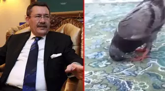 Melih Gökçek, Kabe'de güvercinin secde ettiği iddia edilen videoyu gerçekmiş gibi paylaştı