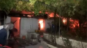 Muğla'da ahır yangını