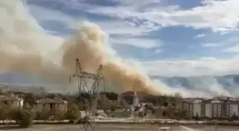 Bursa'da arazide çıkan yangın, çalılıklara sıçradı