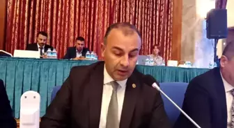 Ednan Arslan: Akkuyu Nükleer Santrali, Enerjide Rusya'ya Göbekten Bağımlı Olmamıza Neden Oluyor