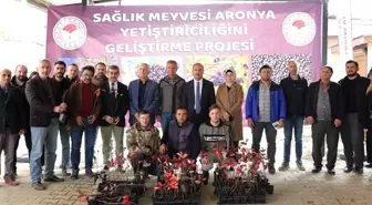 İznik'in bereketi, sağlık meyvesi aronya ile buluşuyor
