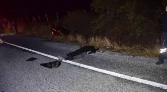 Didim'de trafik kazası: 2 ölü