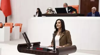 Hdp'li Şevin Coşkun'dan Bakan Soylu'ya: 'Akıllı Telefona Sahip Olmayan Kadınların, Kades Uygulamasından Yararlanmaları Amacıyla Telefon ve İnternet...