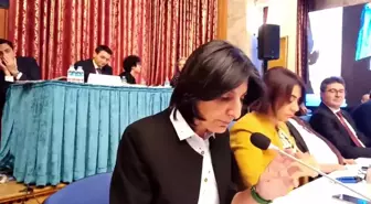 Sibel Özdemir, Bakan Soylu'ya Sordu: '381 Bin İstisnai Vatandaş, Seçmen Olacak Mı?'