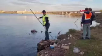 BAKANLIKTAN MERİÇ NEHRİ AÇIKLAMASI '86 İŞLETMEYE ATIKSU DEŞARJI KONULU 16 MİLYON TL CEZA UYGULANMIŞTIR'