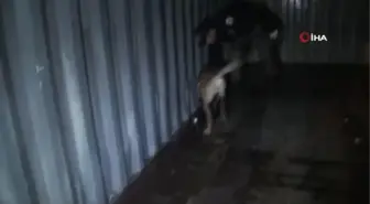 İstanbul Ambarlı Limanı'nda bir konteynerde 22 kilo 880 gram kokain ele geçirildi: 3 gözaltı