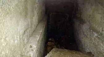 Ölülerin hepsi kıyamet günü bunu yapacak! Duyanların bile tüyleri ürperiyor