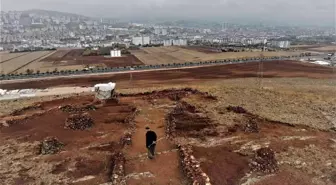 74 yaşındaki İsmail Dede, çorak araziye bir ayda onlarca fidan dikti