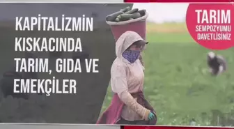 Polatlılı Çiftçi: Eve Bir Kilo Soğanı Artık Pazardan Götürüyoruz. Köylerimizde Genç Nüfus Kalmadı, Kimse Çiftçilik Yapmak İstemiyor