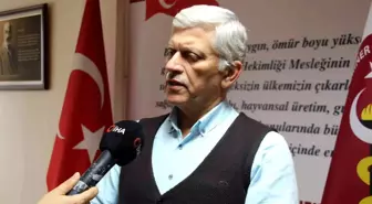 TVHB Başkanı Eroğlu: '(Sahipsiz hayvanlarının barınaklara yerleştirilmesi hakkında) Bu tip önlemlerin alınması gerektiğini düşünüyoruz'