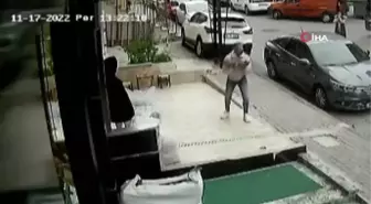 3'üncü kattan düşen kediyi böyle yakaladı