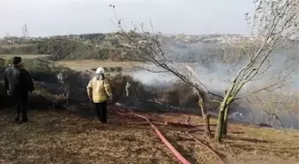 Habipler'de ağaçlık alanda çıkan yangın söndürüldü