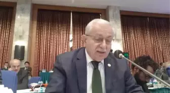 Hayrettin Nuhoğlu'ndan 'Kanal İstanbul' Eleştirisi: 'İstanbul'un Havası, Suyu, Bitkisi, Böceği Kısaca Hayat Damarları Kesilmemelidir'