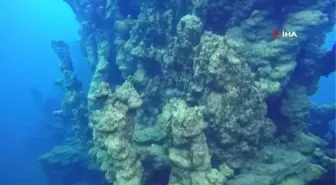 Van Gölü'nün 'peribacaları' suların çekilmesiyle zarar görmeyecek