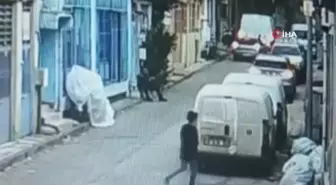 Anlaşmazlık yaşadığı arkadaşı tarafından Pitbull'lu saldırıya uğrayan adam köpeği camdan aşağı attı