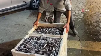Bedava hamsi vatandaşları şaşırttı