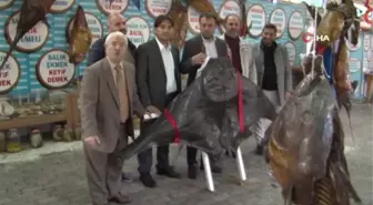 Öğretmenlerden Türkiye Deniz Canlıları Müzesi'ne ziyaret