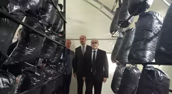 Samsun Valisi Dağlı: 'Son bir ayda 71 mantar zehirlenme vakamız oldu'