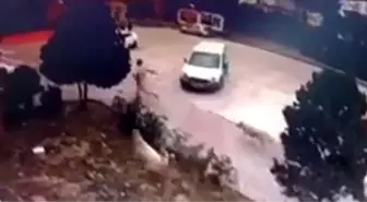 Başakşehir'de sokak köpeklerinin bir adamı kovaladığı anlar kamerada