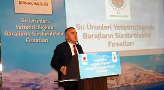 Şırnak Valisi Bilgin: 'Şırnak terörle anılan değil, yatırımıyla, sosyolojisiyle, kültürüyle, son dönemlerde festivalleri ile çok yönlü bir şehir olma...