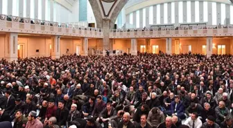 Diyanet İşleri Başkanlığı'nın cuma hutbesinde sokak hayvanlarıyla ilgili çağrı yapıldı