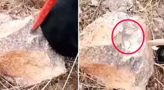 Kazmasını taşa vuran Türk defineci eski uygarlıklar tarafından saklanan altınları buldu