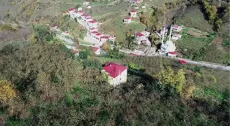 'ARAZİ ANLAŞMAZLIĞI' ÇİLESİ; BABAANNESİNİ SIRTINDA TAŞIYOR