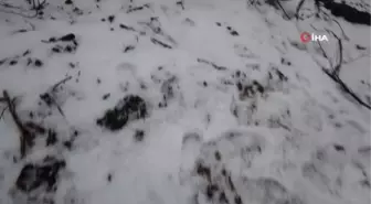 ÇANAKKALE - Kazdağları'nın yüksek kesimleri kar yağışıyla beyaza büründü