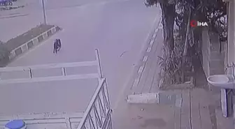 Sürücü, köpeğin üzerinden geçti: O anlar kamerada
