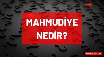 Mahmudiye nedir, nasıl bir yemek? Hangi padişahın yemeği? Masterchef Mahmudiye hangi ülkeye ait? Mahmudiye nasıl bir üründür?