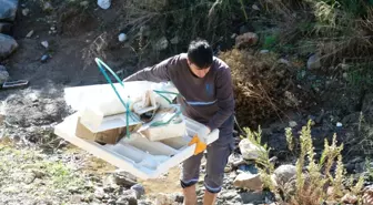 Bodrum'da dere yatağına çöp atanlar atıklardaki faturalardan tespit edildi