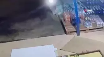 Gazipaşa'da karnı acıkan tilki markete girip yiyecek aradı