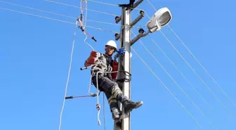 Kırıkkale'de elektrik direğinde mahsur kalan karga kurtarıldı