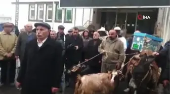 Köylüler belediye önüne eşek, keçi ve arı ile gelip tepki gösterdi