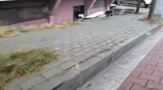 Avcılar'da otomobil apartman boşluğuna düştü