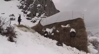 Besicilerin kış şartlarıyla mücadelesi başladı